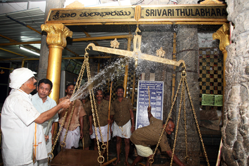 Today Koil Alwar Thirumanjanam At Tirumala Temple, TTD Thirumanjanam, Koil Alwar thirumanjanam Seva Tirumala Lord Venkateswara 